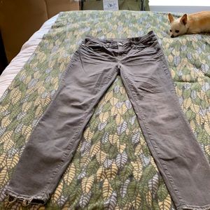 J Crew toothpick Jean, chi not included!